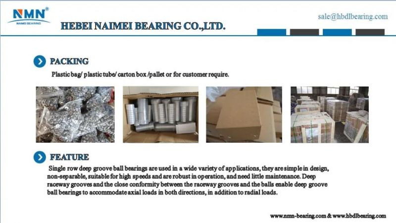 6001 6002 6003 6004 High Speed Low Noise Single Row Deep Groove Ball Bearing for Electric Motorcycle Bearing Tricycle