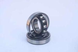 Barrel Roller Bearings 20211-K-Tvp-C3 20212-K-Tvp-C3 20213-K-Tvp-C3 20215-K-Tvp-C3 20205-K-Tvp-C3 20206-K-Tvp-C3