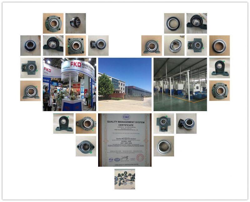 Insert Bearing with Housing UCP208/Pillow Block Bearing /Bearing