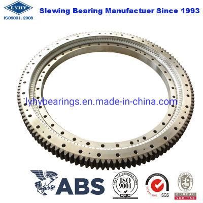 Phosphating and Epoxy Painting Crossed Roller Slewing Bearing Ring Bearing Rh221007-1455