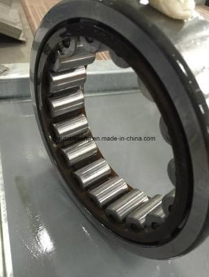 Cylindrical Roller Bearing Nn3007