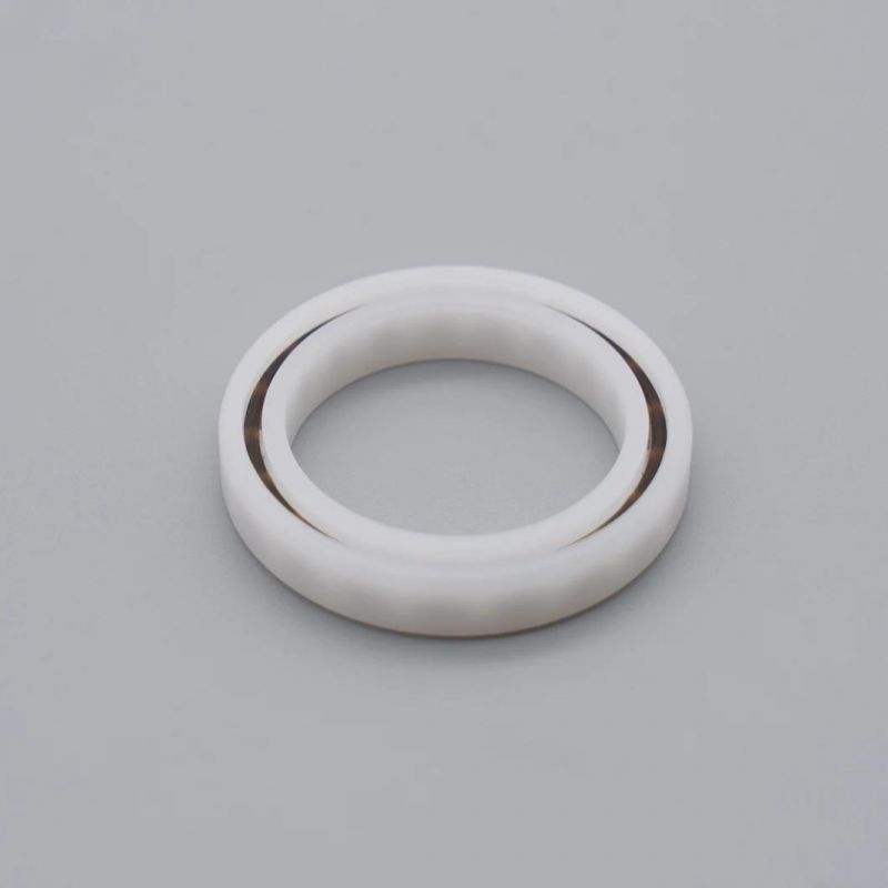 PP Bearings 6013 POM Plastic Bearing 6013