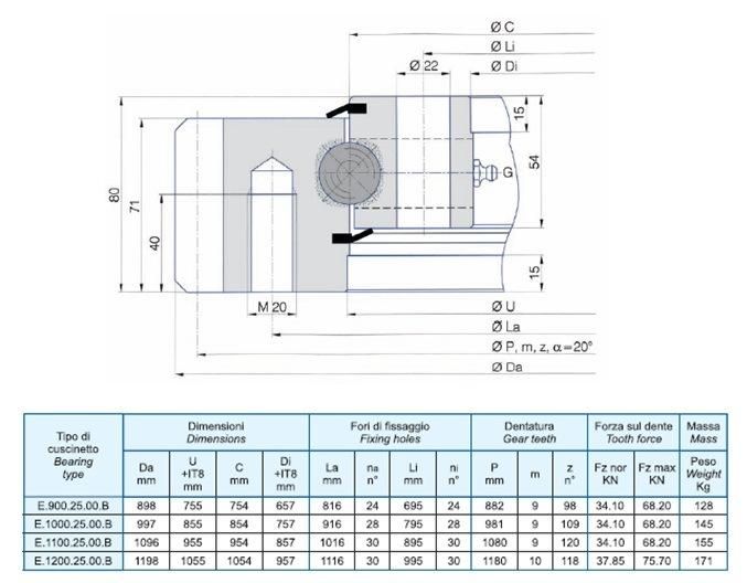 Torriani Gianni (TG) Single Row Ball Slewing Ring Bearing (E. 1100.25.00. B)