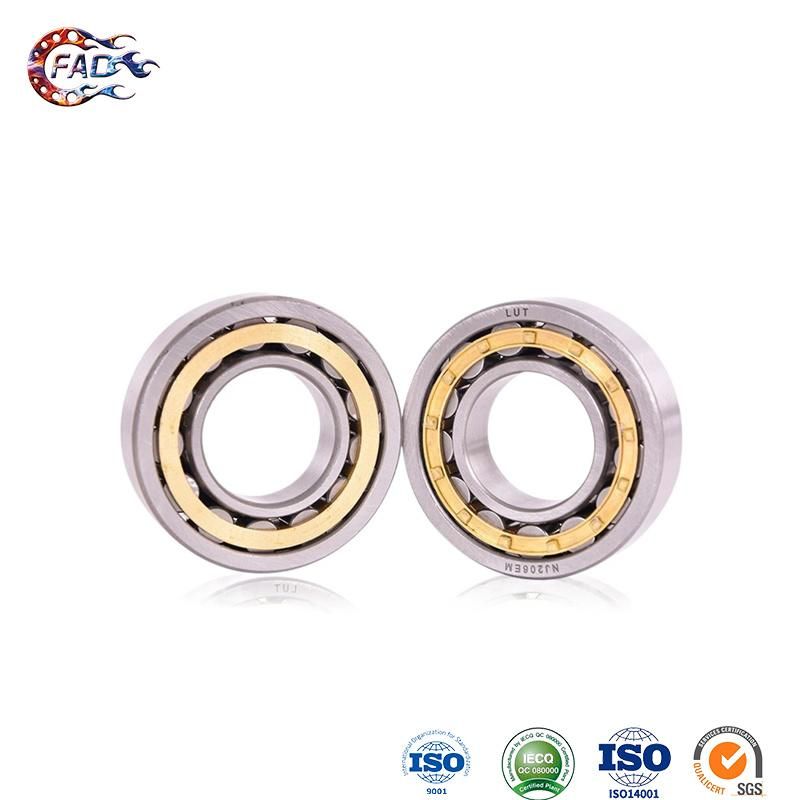Xinhuo Bearing China Types of Bearing Manufacturing 0840uu NF207e Cylinder Roller Bearing