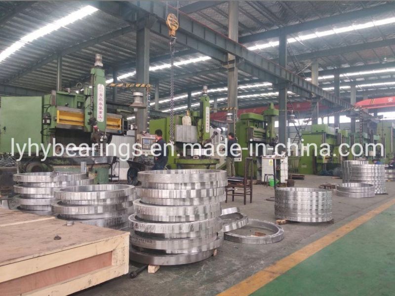 Torriani Gianni Slewing Ring Bearing Without Gear Teeth Turntable Bearing (SD. 1155.25.00. B)