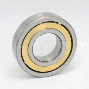 Four-Point Contact Ball Bearings Qj252n2ma Qj1252n2ma Qj1056n2ma/C4 Qj1256n2ma Qj1060mA Qj1260n2ma Qj1064mA Qj1064n2ma Qj1264n2ma Qj1068n2ma