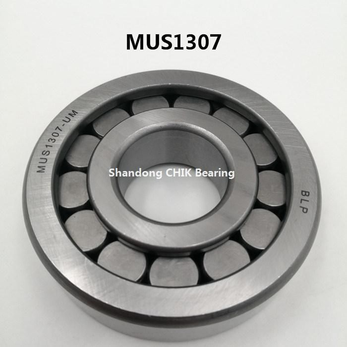 NUP312ENV NUP315ENV High Speed and Low Noise Cylindrical Roller Bearing