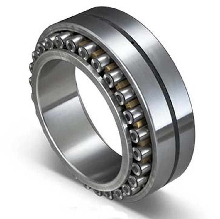 900mm Nnu40/900 44821/900 Double Rows Cylindrical Roller Bearing