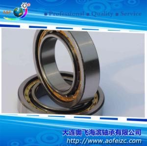 High Speed Low Price Cylindrical Roller Bearing NU1016