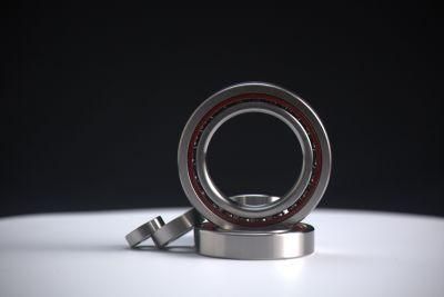 Angular Contact Ball Bearing / Spindle Bearing