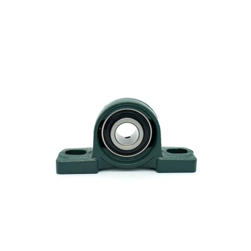 Chrome Steel and Cast Iron Housing Bearing