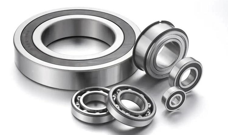 560mm 619/560 High Precision Deep Groove Ball Bearing