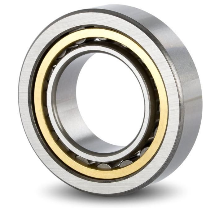 Cylindrical Roller Bearing Nu310m/32310h 32310ht Nj310/42310 Nj310e/42310e 42310ea Nj310m/42310h 62310e 62310h 62310kh Large Motor The Generator