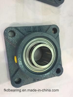 Hhb, Fe, Fkd Brand Flange Bearings