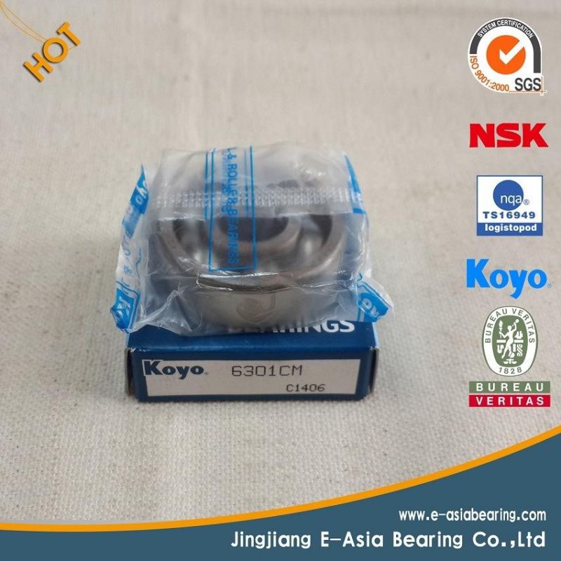 Ceramic Bearings Ceramic Ball Bearing