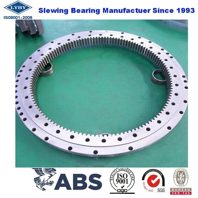 Single Row Ball Slewing Bearing Slewing Ring Bearings Turntable Bearings with Internal Gear VI095A01