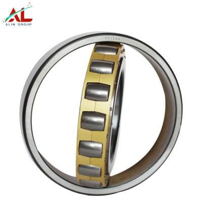Reasonable Price NSK Spherical Roller Bearing