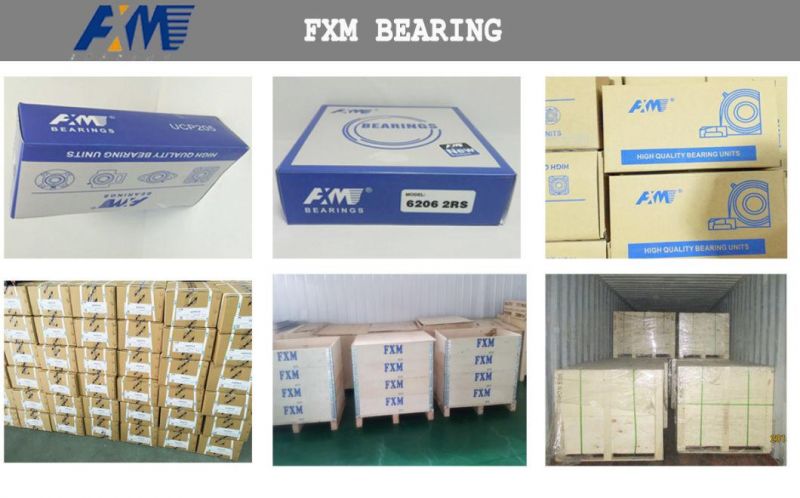 UCP203-11 UC, Ug, UCP, UCFL, Ucx, Ucf, Hc, Hcfa, Hcflu, SA, Sb, Ball Bearing, Tapered Roller Bearing, Pillow Block Bearing, Insert Bearing,