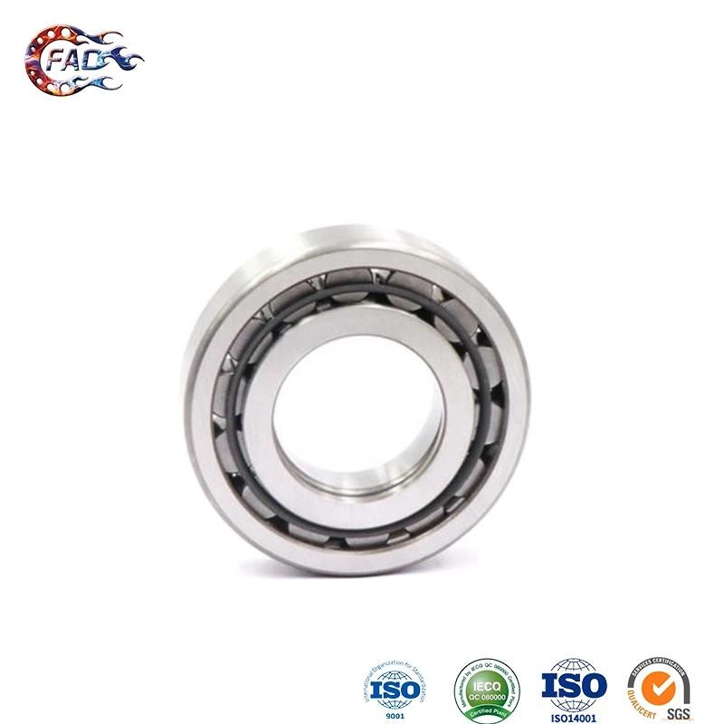 Xinhuo Bearing China 608RS Bearing Supply 5207 Bearing N324e Double Cylindrical Roller Bearing