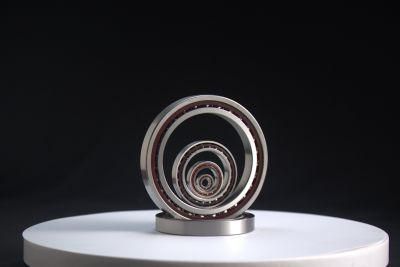 Zys Wholesale Metric Ball Bearing Angular Contact Ball Bearing 7313 with High Precision