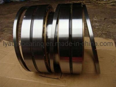 Cylindrical Roller Bearing (32248/NU248)