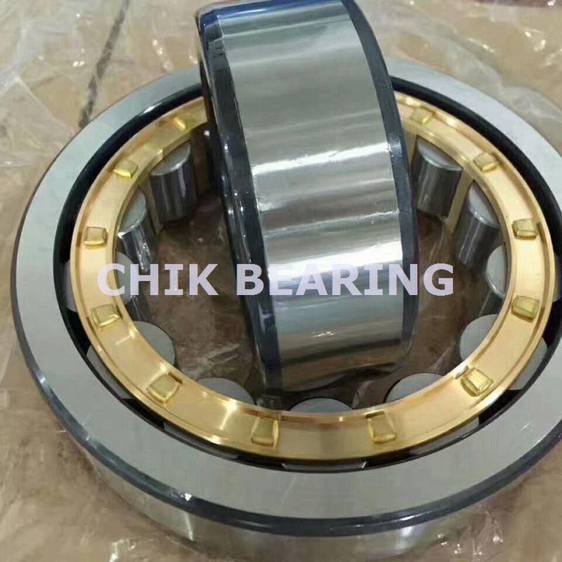 High Speed Cylindrical Roller Bearings Export Germany France (NU311)