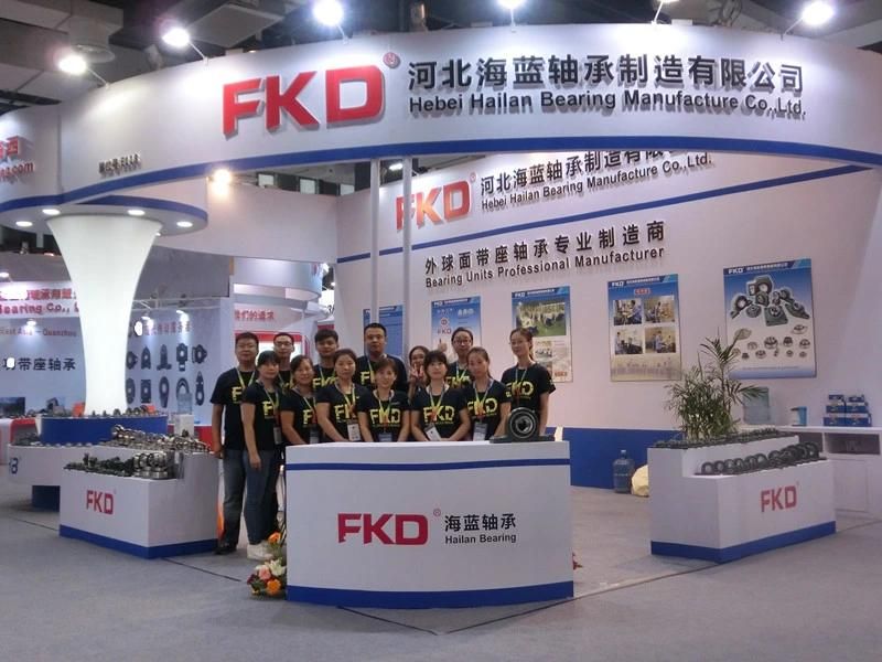 Bearing Units, Fkd Housings, Ball Bearings, Spherical Rollerbearing, All Kinds of Pillow Block Bearings (UCP UCT UCF 32321 32309)