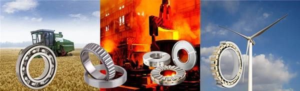 High Performance Low Noise Cylindrical Roller Thrust Bearings (81248)