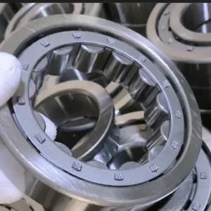 Stable Quality Competitive Price Cylinder Roller Bearing (RN307M)