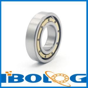 Deep Groove Thin Wall Thrust Ball Bearing Model No. 51200 with Best Quality
