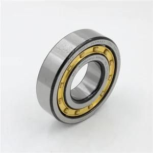 Cylindrical Roller Bearings Nj308ecp Nj308ecph Nu308ecj Nu308ecm Nu308ecp Nu308ecph Nup308ecm Nup308ecp Nj308ecml Nu308ecml Nup308ecml