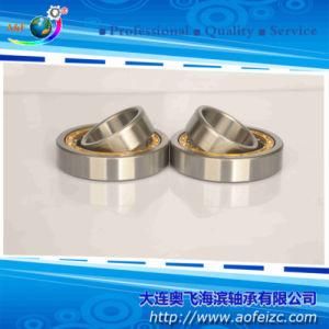 A&F Brand Cylindrical Roller Bearing (NU206M) Roller Bearings