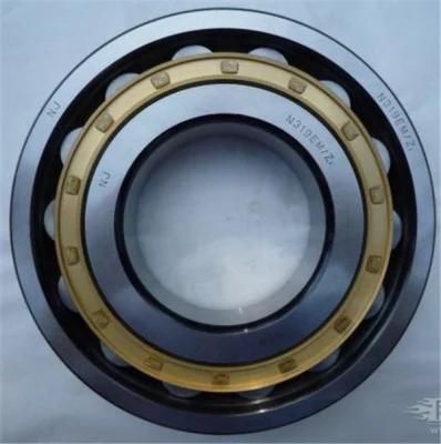 Cylindrical Roller Bearing N209ecp N219ecp N308ecp N315ecp N320ecp N211ecp N220ecp N309ecp N316ecm N321ecp Roller Bearing