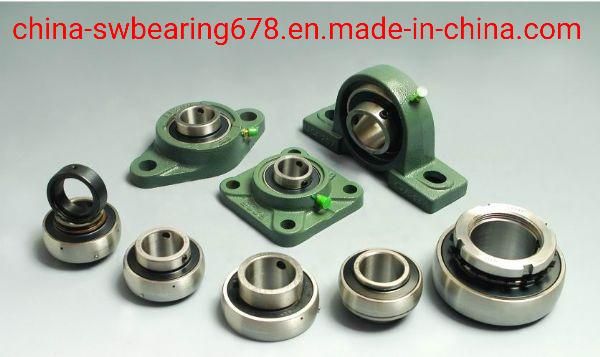 Chrome Steel Insert Ball Bearings with Spherical Outer Race, Pillow Block Bearing UC201 up to UC218 with Competitive Price