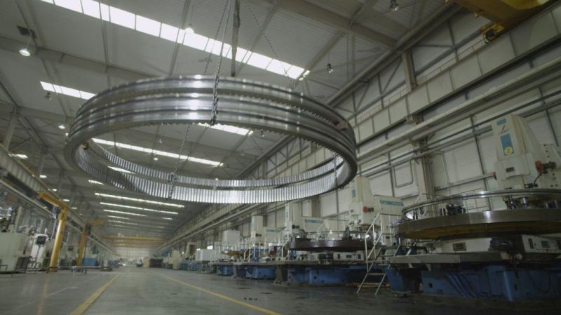 Zys Ball Bearing Slewing Ring Bearing 010.30.560 for Hoisting