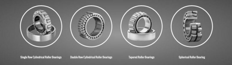 GIL 22200-22300 Series Double Row Spherical Roller Bearing /Cylindrical Bore/Tapered Bore