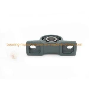 Insert Ball Bearing Unit with Pillow Block and Bearing