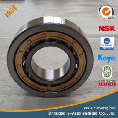 Plastic Coated Bearing