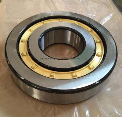 Cylindrical Roller Bearing N1060em/Nj1060em/Nu1060em