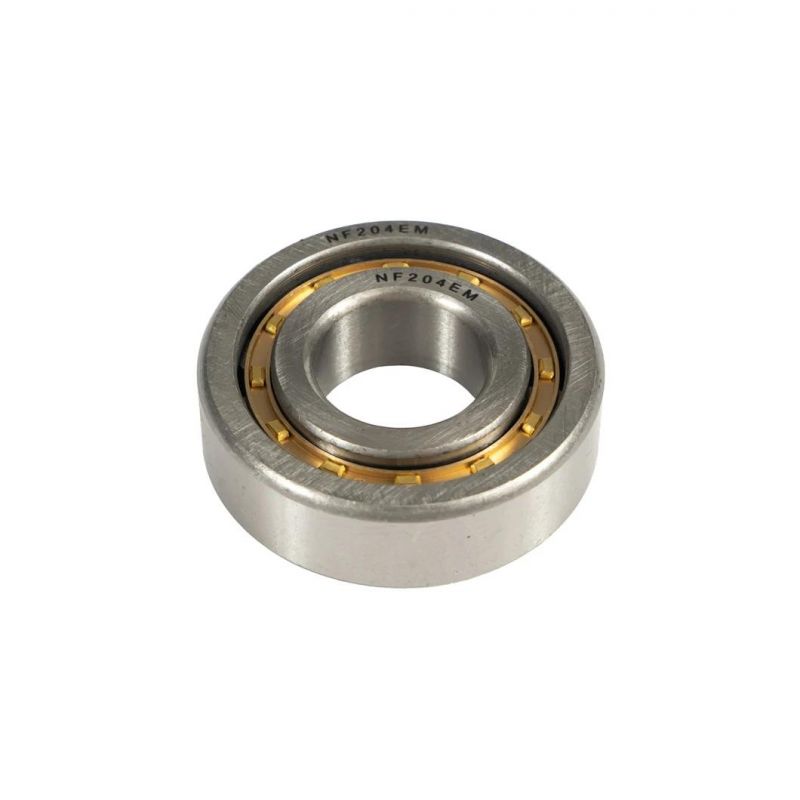 Full Complement Flange Cylindrical Roller Bearing Nj202 Nj203 Nj204