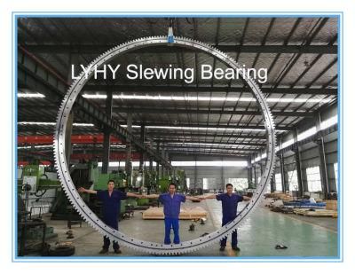 Lyhy Single Row Ball Slewing Bearings with External Teeth S24-158e1