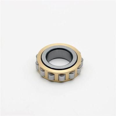 Cylindrical Roller Bearing Without Outer-Ring Bearing Rn207 Rn207m