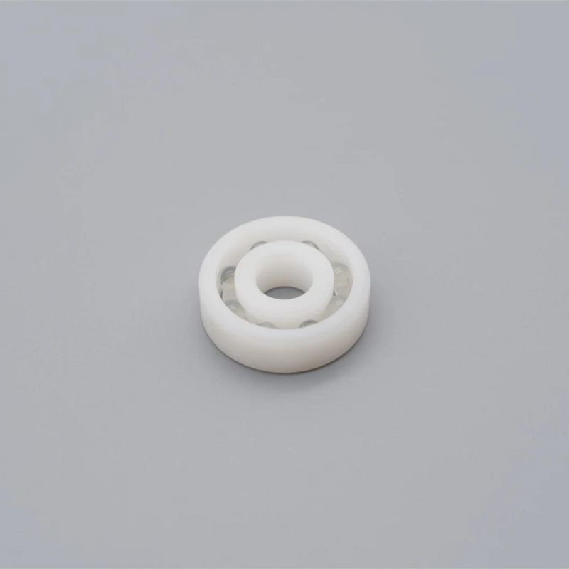 PP Bearings 6013 POM Plastic Bearing 6013