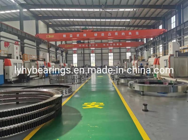 Slewing Bearings with Surface Treatment by Spray Paint (010.22.1588)