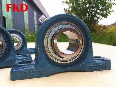 Chrome Steel UCP Series Pillow Block Bearing/Insert Bearing/Bearing/Chumaceras/Pedestal Bearing/Setting Block (UCP206 UCP206-18 206-19 206-20)