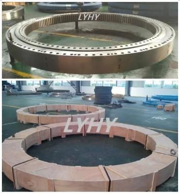 Triple Row Roller Slewing Bearing Rotary Bearings with Internal Teeth 3r16-245n1
