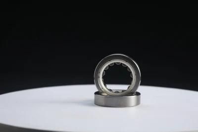 Zys High Quality Bearing Cylindrical Roller Bearing with Bearing Steel Nn Series Nn3088
