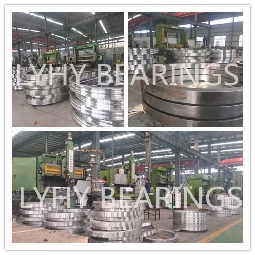 Four Point Contact Ball Slewing Bearing Bt9505hbpx1 with Internal Gear