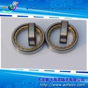 A&F Factory Cylindrical Roller Bearing NU1007M with China Manufacturer