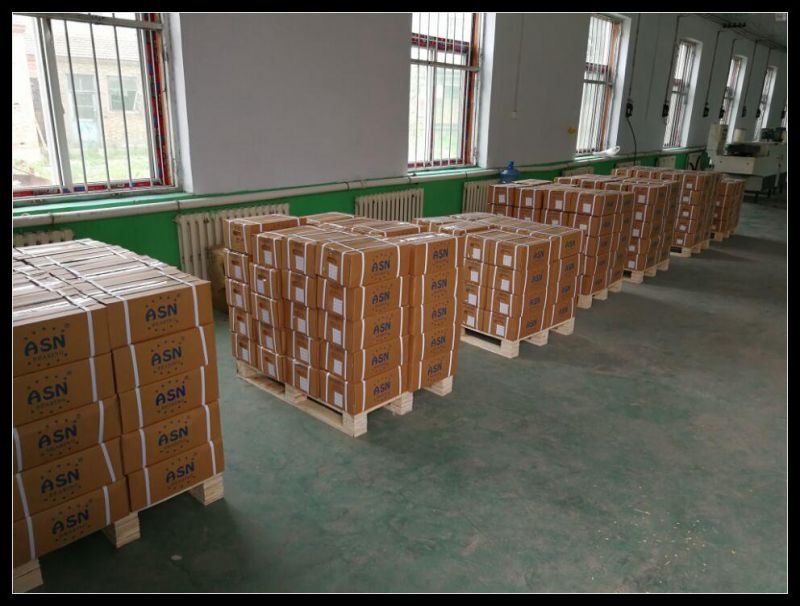 Chik NACHI NSK SKF NSK Koyo NTN Cylindrical Roller Bearing N1026 N1028 N1030 N1032 N1034 N1036